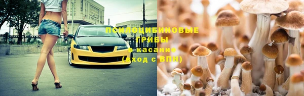 тгк Арсеньев