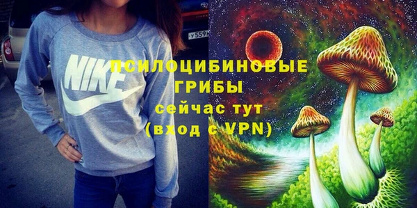 тгк Арсеньев